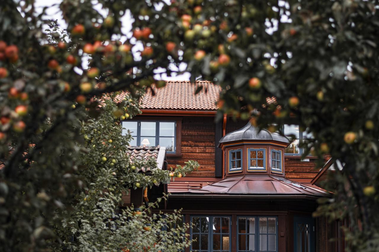 Klockargårdens huvudbyggnad med äppelträd i förgrunden.