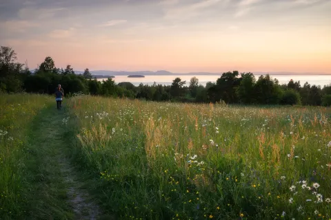 Vy Tällberg sommartid.